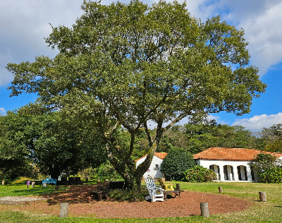 에코랜드 에코로드