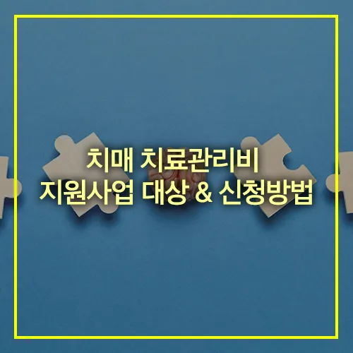 치매 치료관리비 지원사업