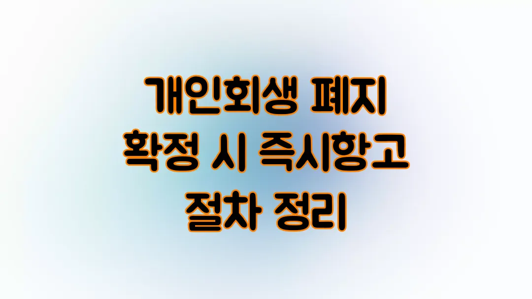 개인회생 폐지 확정 시 즉시항고 절차 정리
