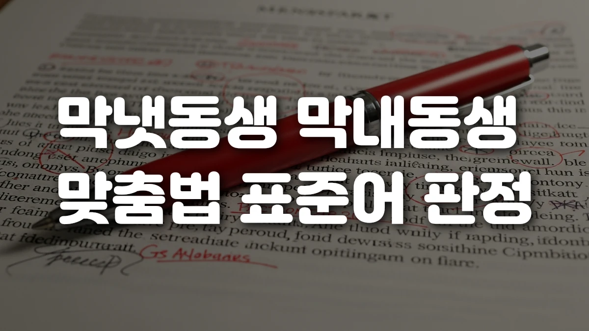 막냇동생 막내동생 맞춤법 표준어 판정