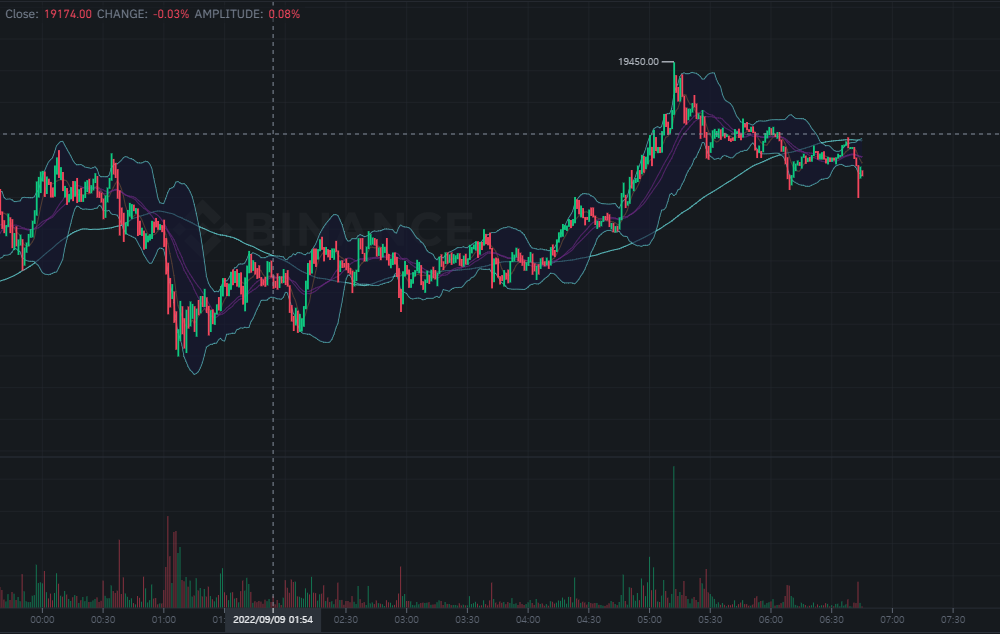 비트코인 차트분석