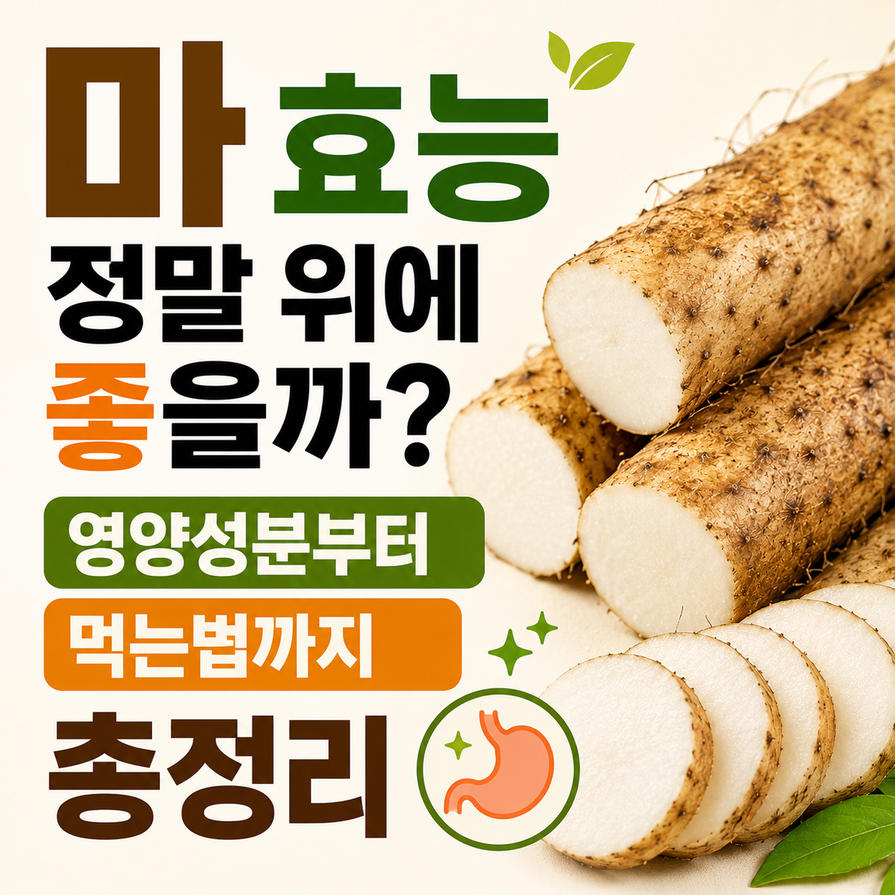 마 효능