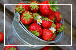 딸기 효능 5가지
