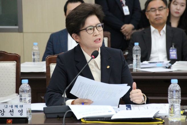 강선영 국회의원 정치 경력