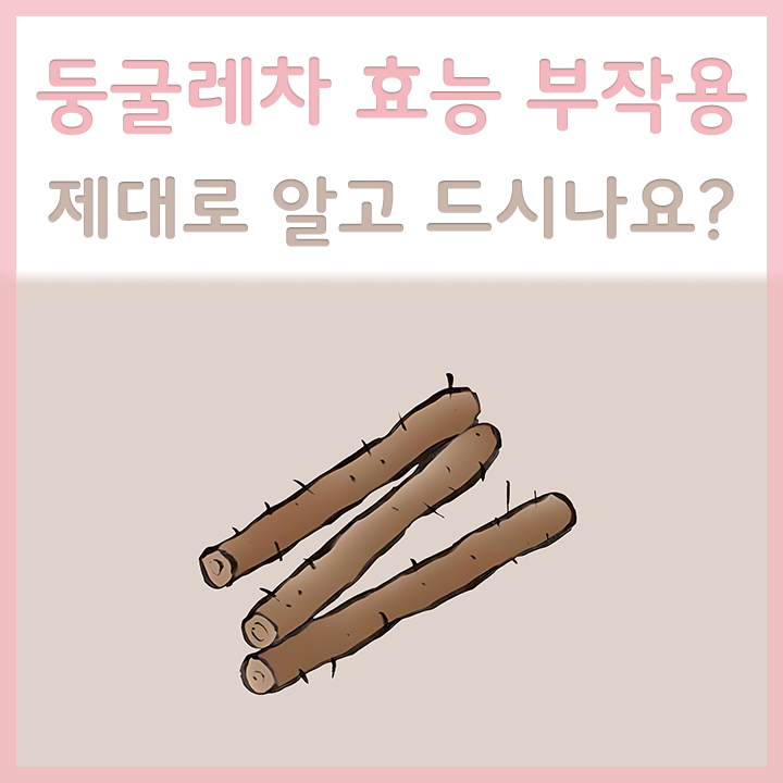 둥굴레차