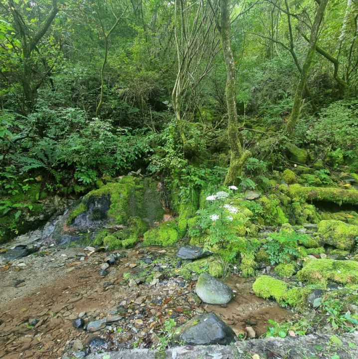 가리왕산자연휴양림