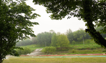 2025 도봉별빛축제