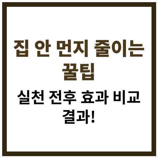 집안 먼지를 줄이기 위한 실천 방법과 전후 효과 비교 사례 소개