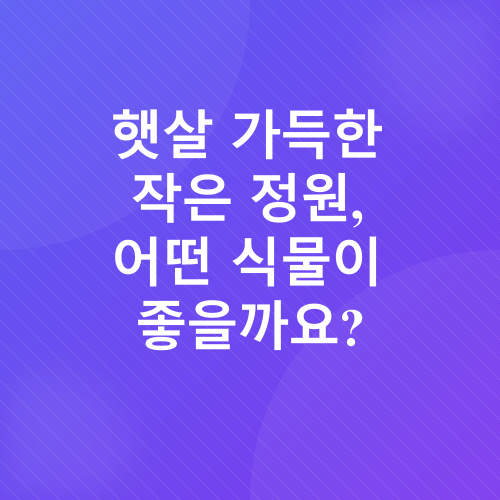 베란다텃밭_1