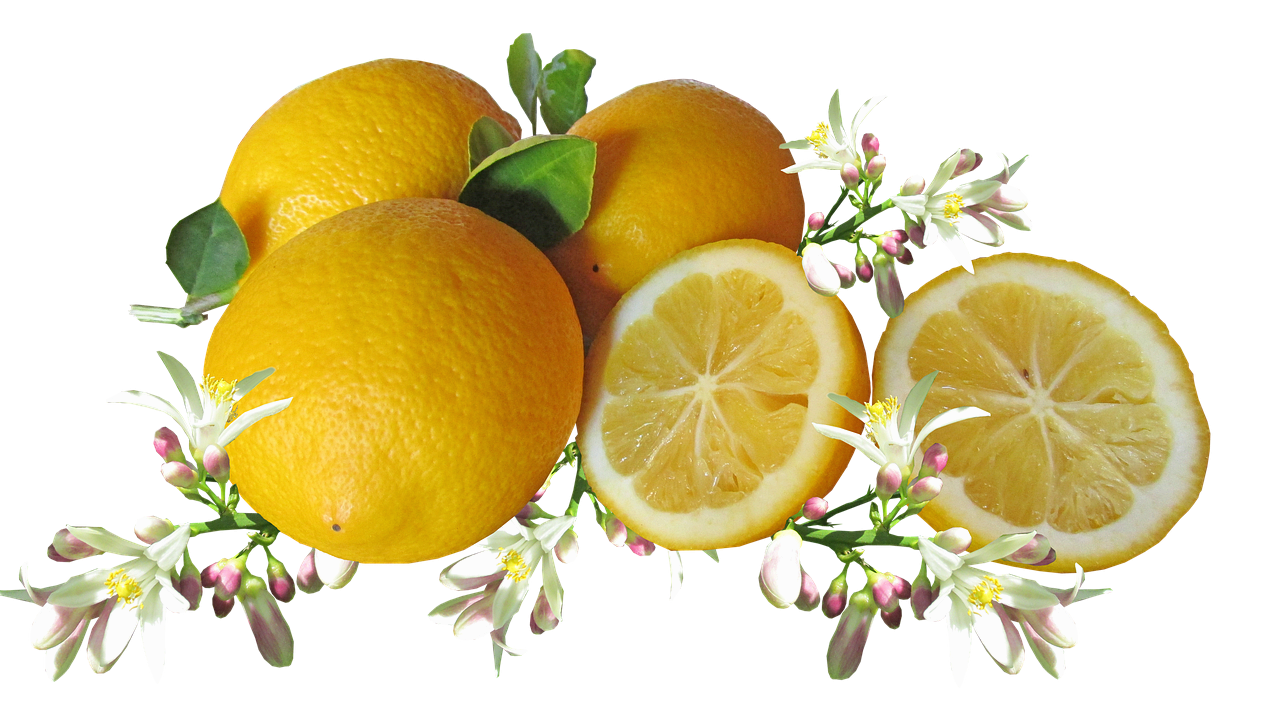 번아웃을 예방하는 휴식의 기술 &mdash; 멈추는 법을 배운 사람은 무너지지 않는다