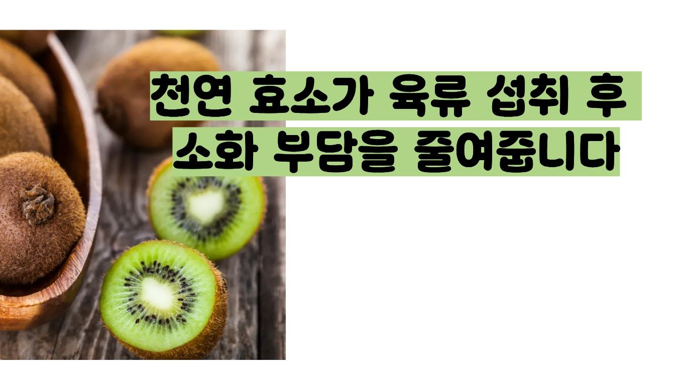 키위 효능
