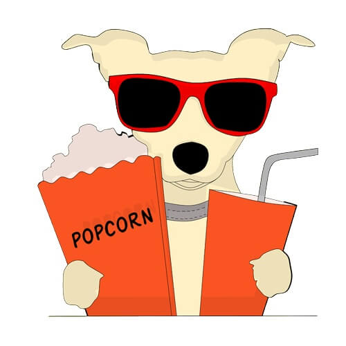 강아지가 팝콘과 콜라 들고 보는 모습