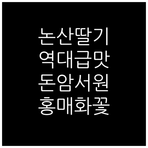 봄꽃 여행지로 추천하는 논산 딸기 체..