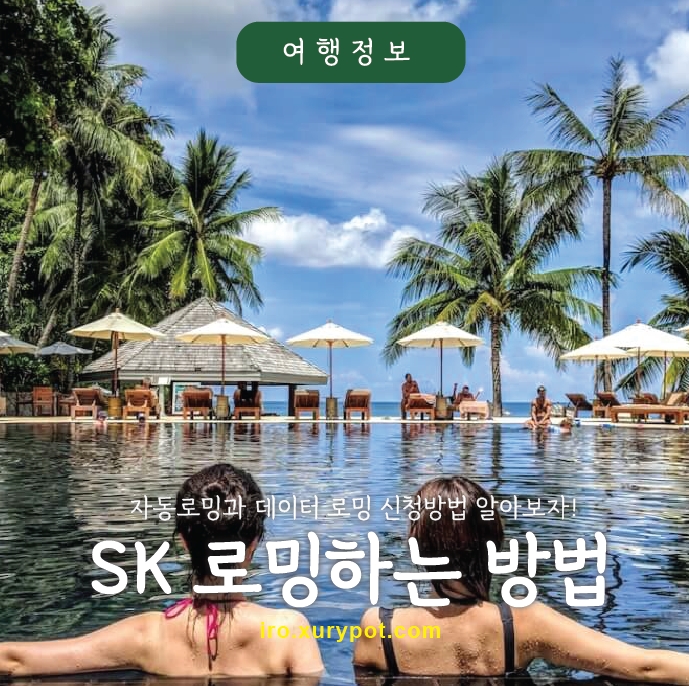 skt 로밍하는 방법