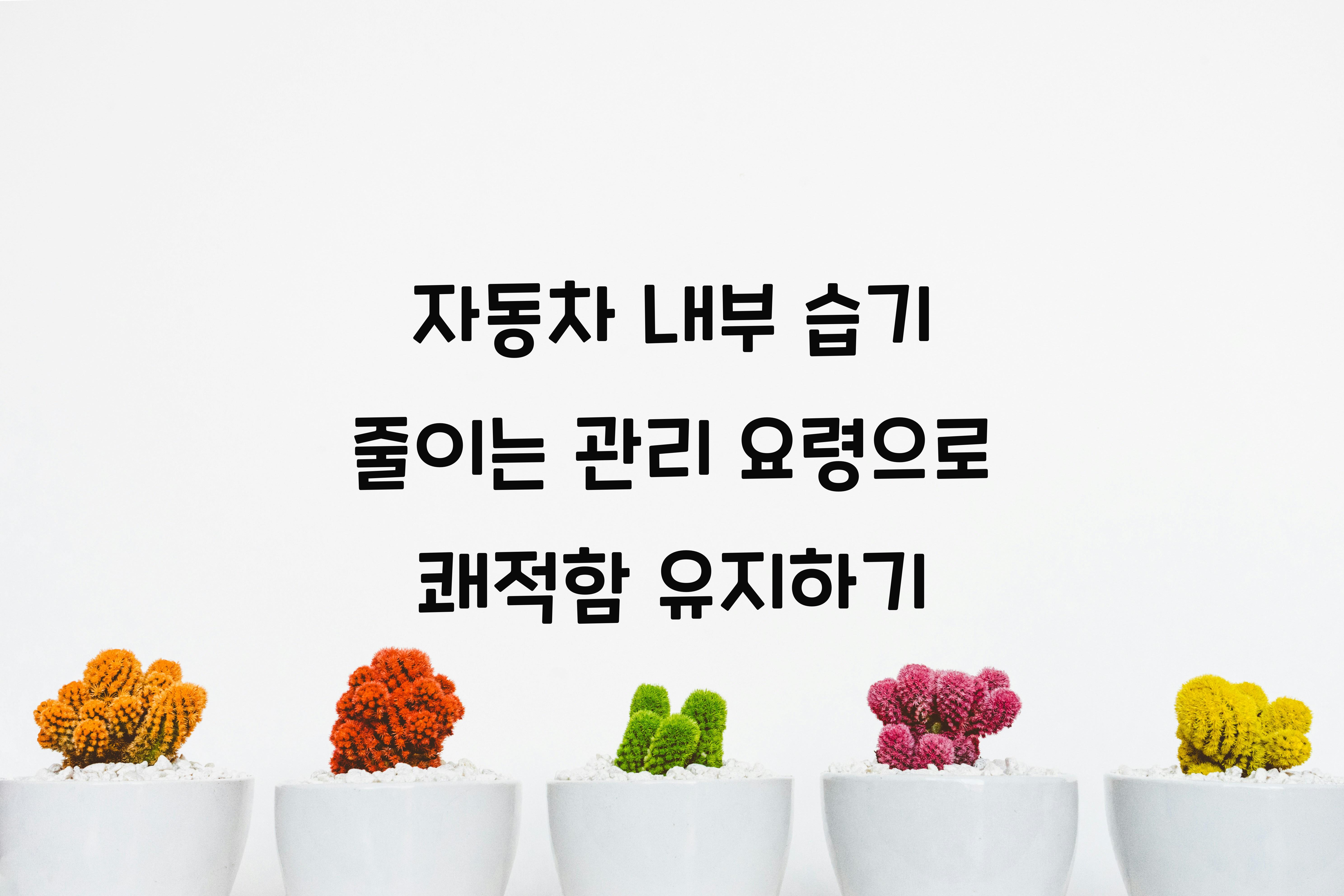 자동차 내부 습기 줄이는 관리 요령
