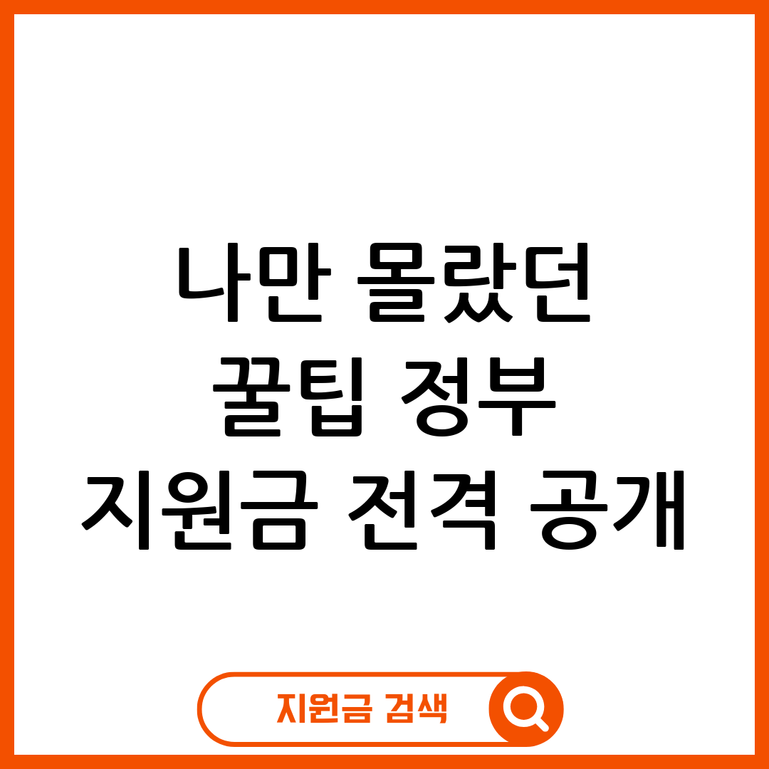 청년 지원금