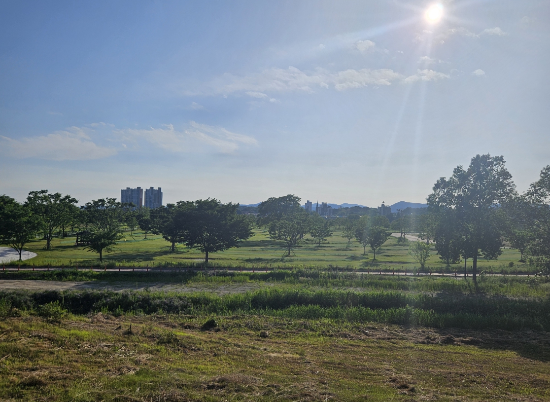 부여 파크골프장 예약