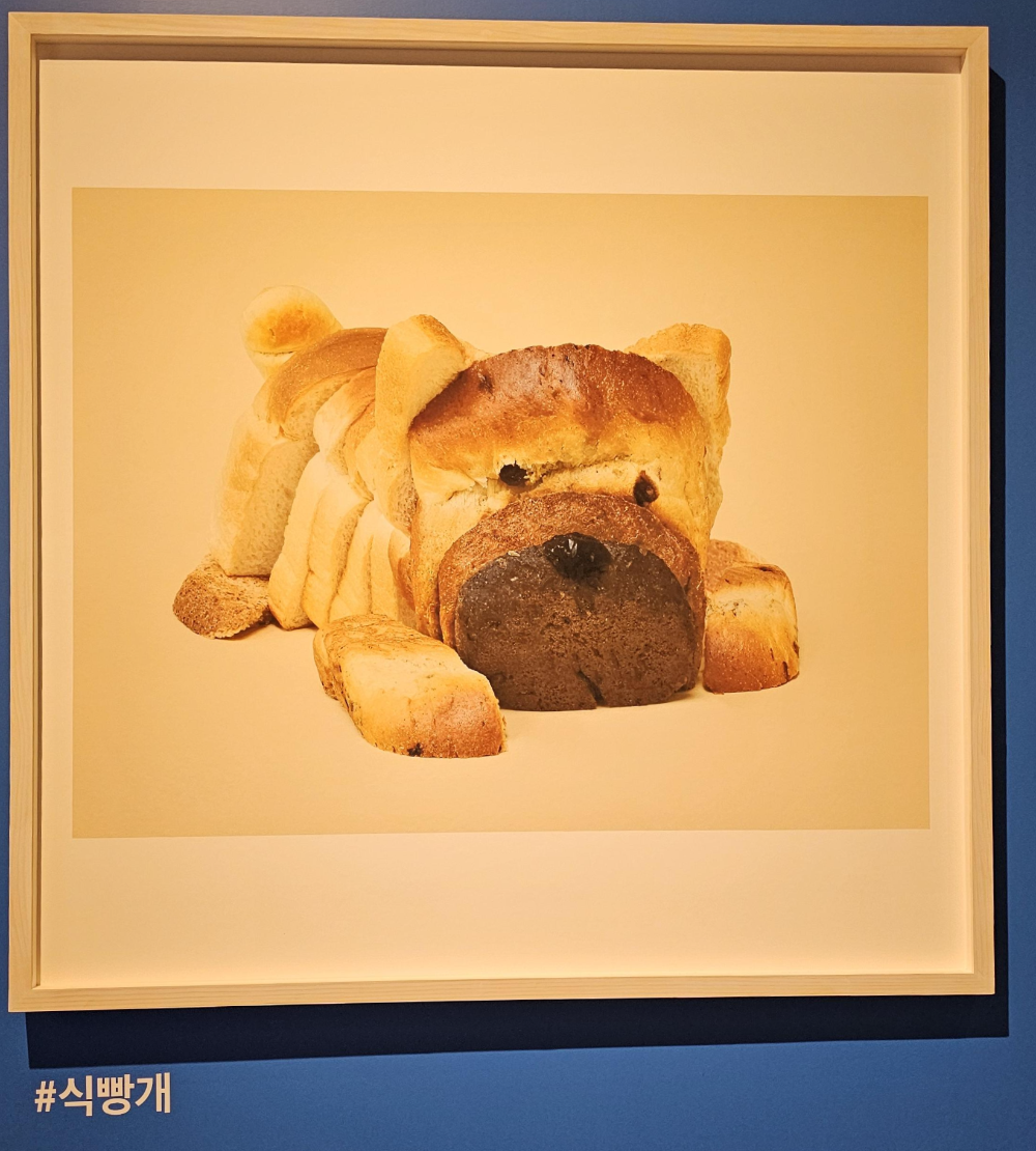 아쿠아플라넷 여수 헬가 스텐첼 특별전