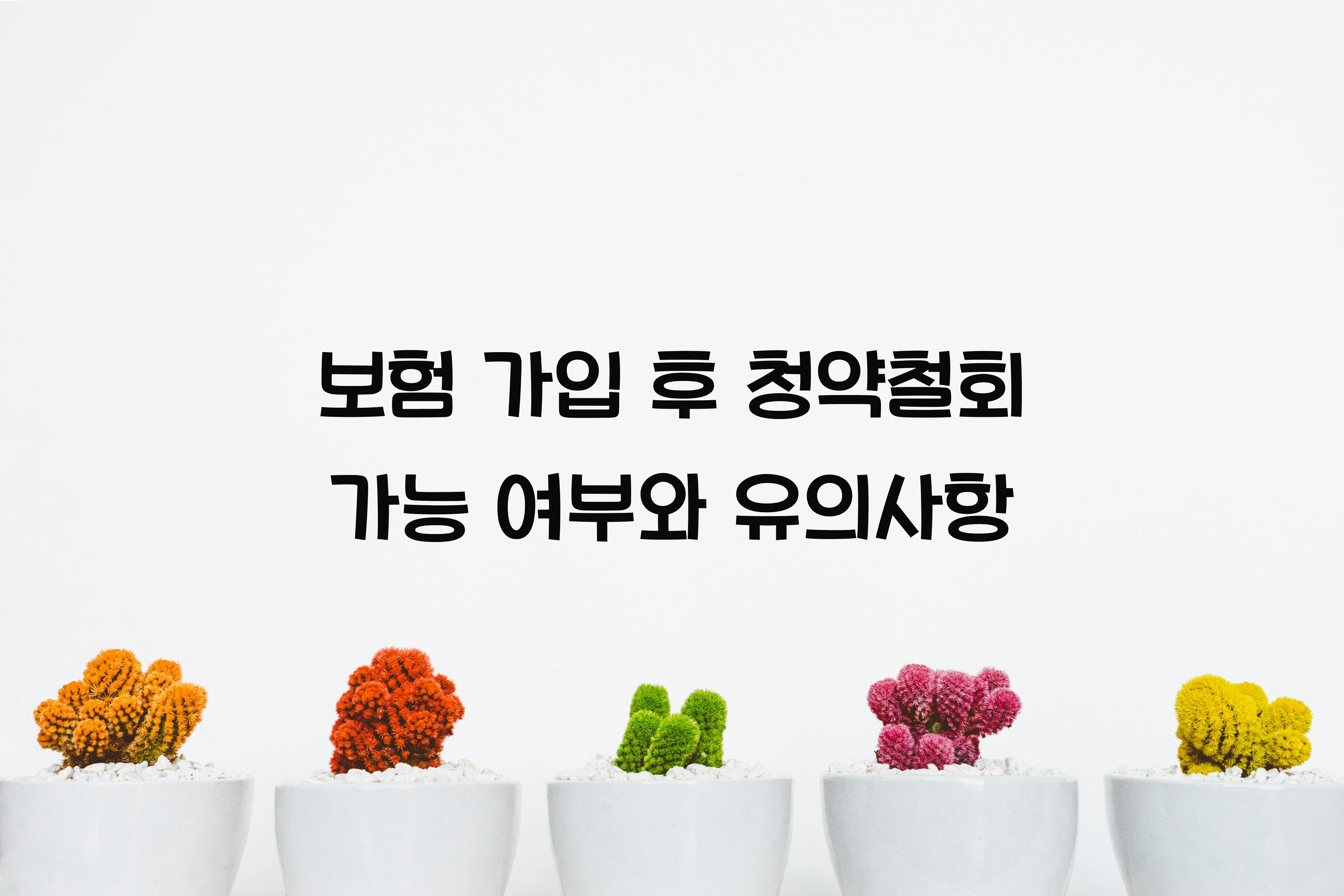 보험 가입 후 청약철회 가능 여부