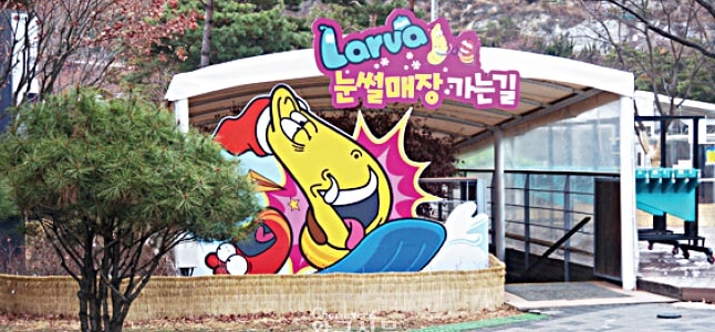 눈썰매장 개장일은 12월 8일입니다.