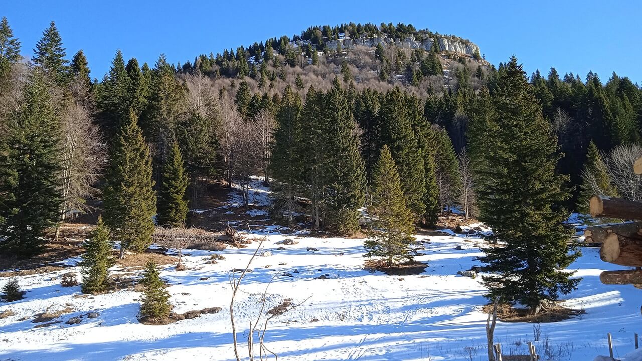 한라산 영실코스 예약 없이 갈 수 있을까? 탐방로 정보부터 주차팁까지