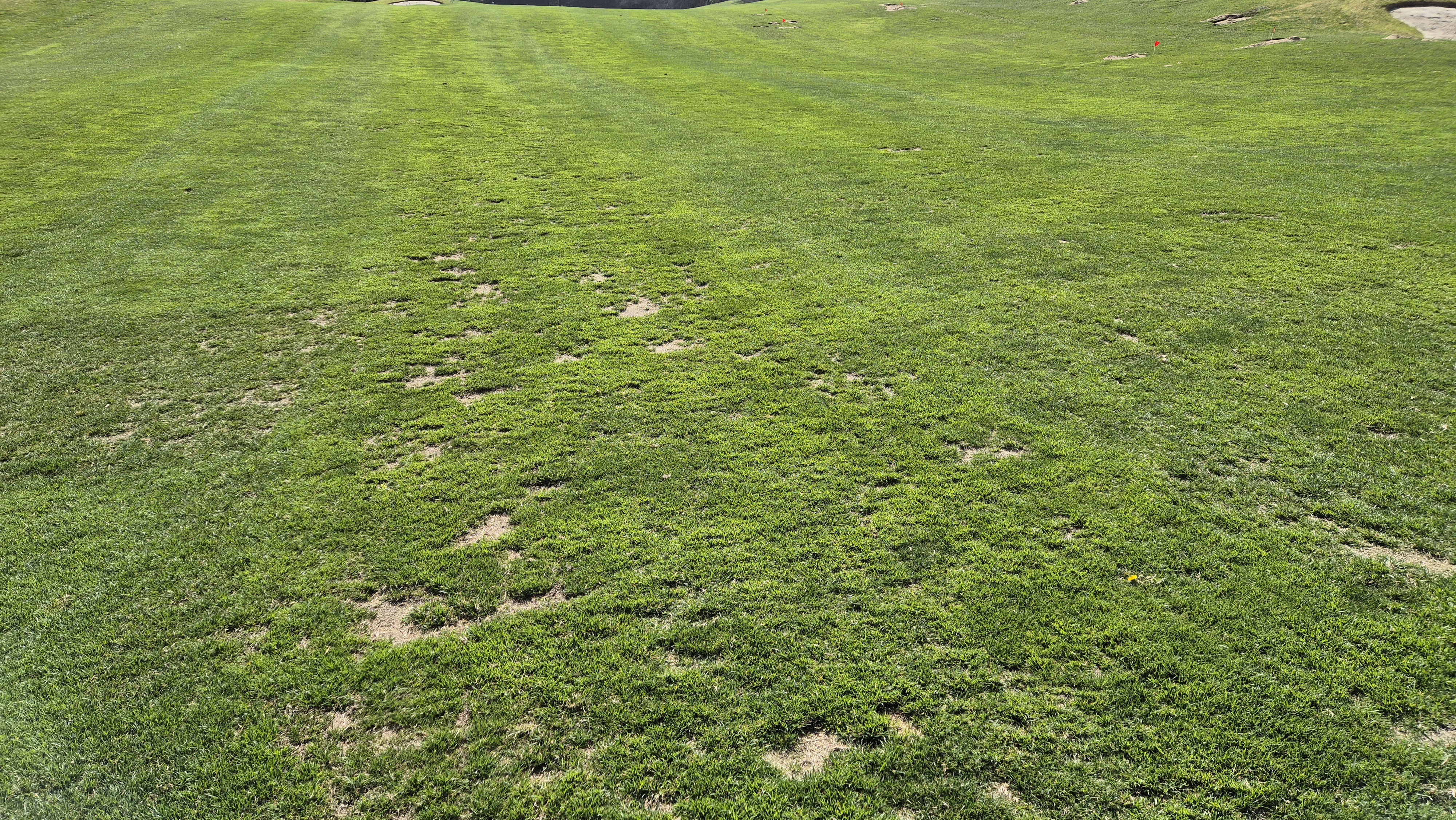 소노펠리체cc 비발디파크 웨스트