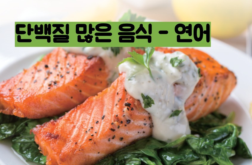 단백질 많은 음식