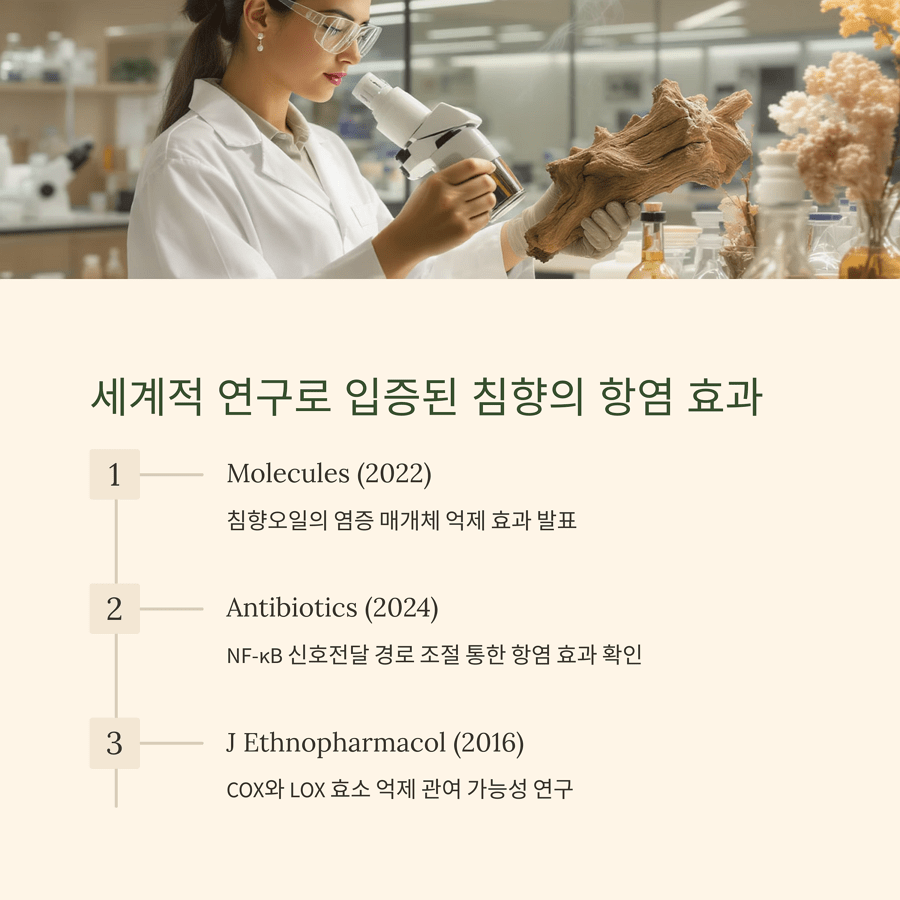 Antibiotics (2024): NF-κB 신호전달 경로 조절 통한 항염 효과 확인