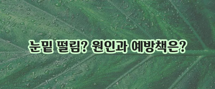 눈밑 떨림 원인 8가지와 예방 방법 꼭 알아두세요!