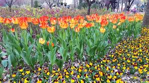 시크릿 가든 인 오월드 관련 사진