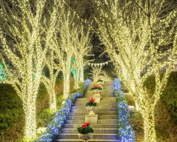 퍼스트가든 별빛축제_2