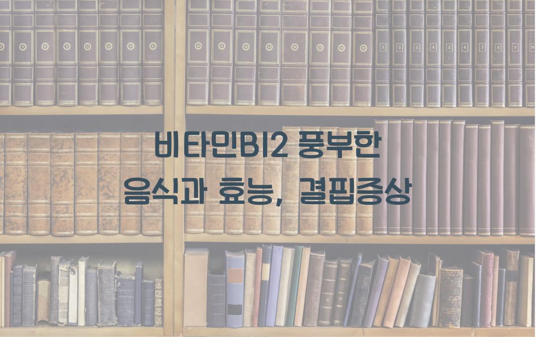 비타민B12 풍부한 음식