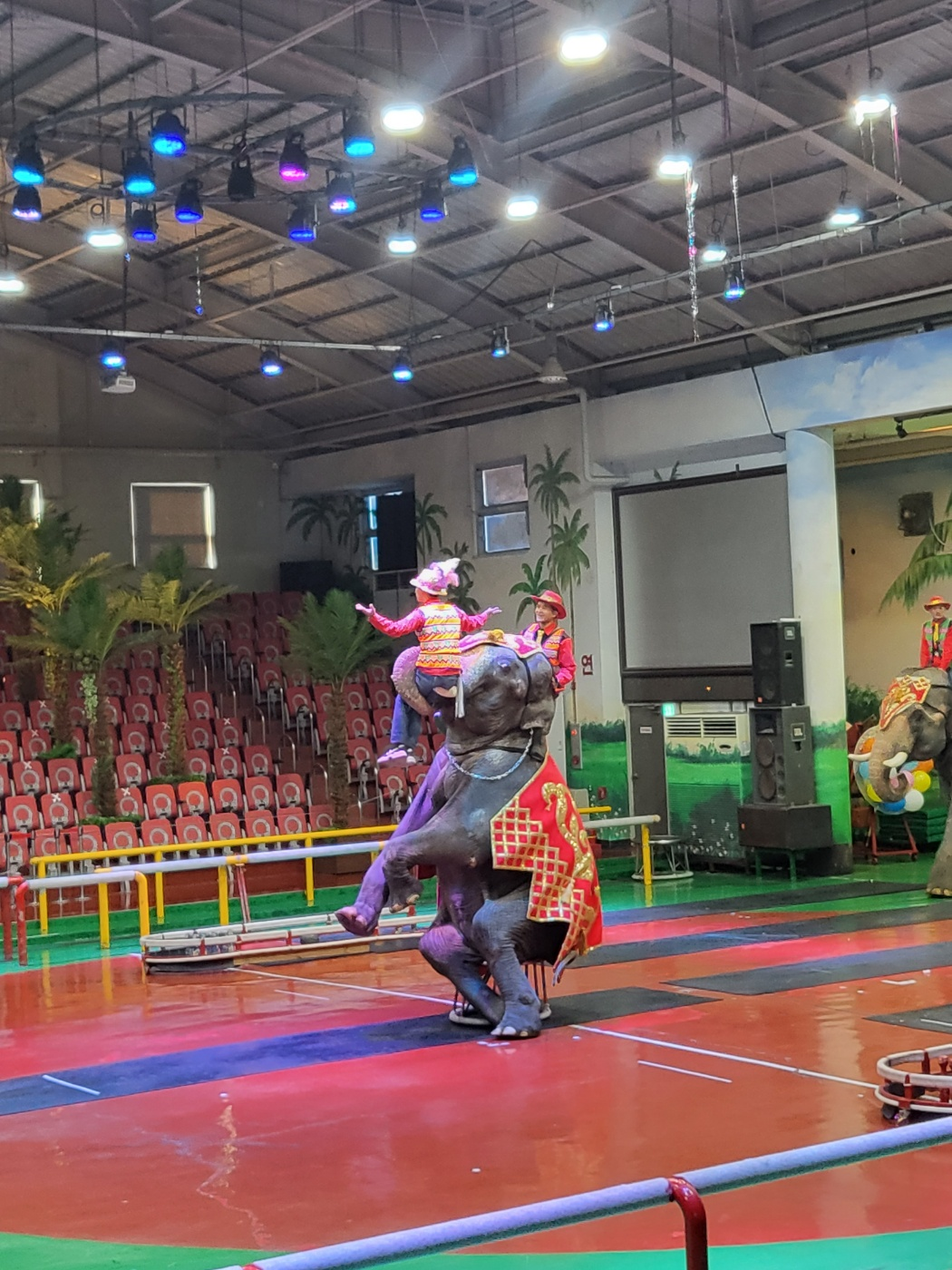 제주도 아이와가볼만한곳, 점보빌리지