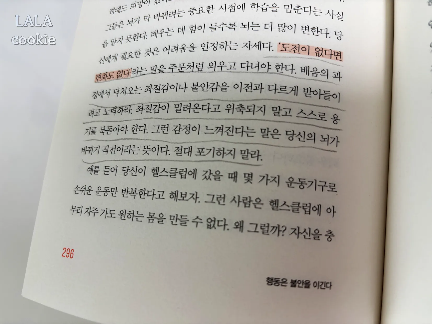 자기개발-동기부여-책-추천-행동은-불안을-이긴다-296페이지