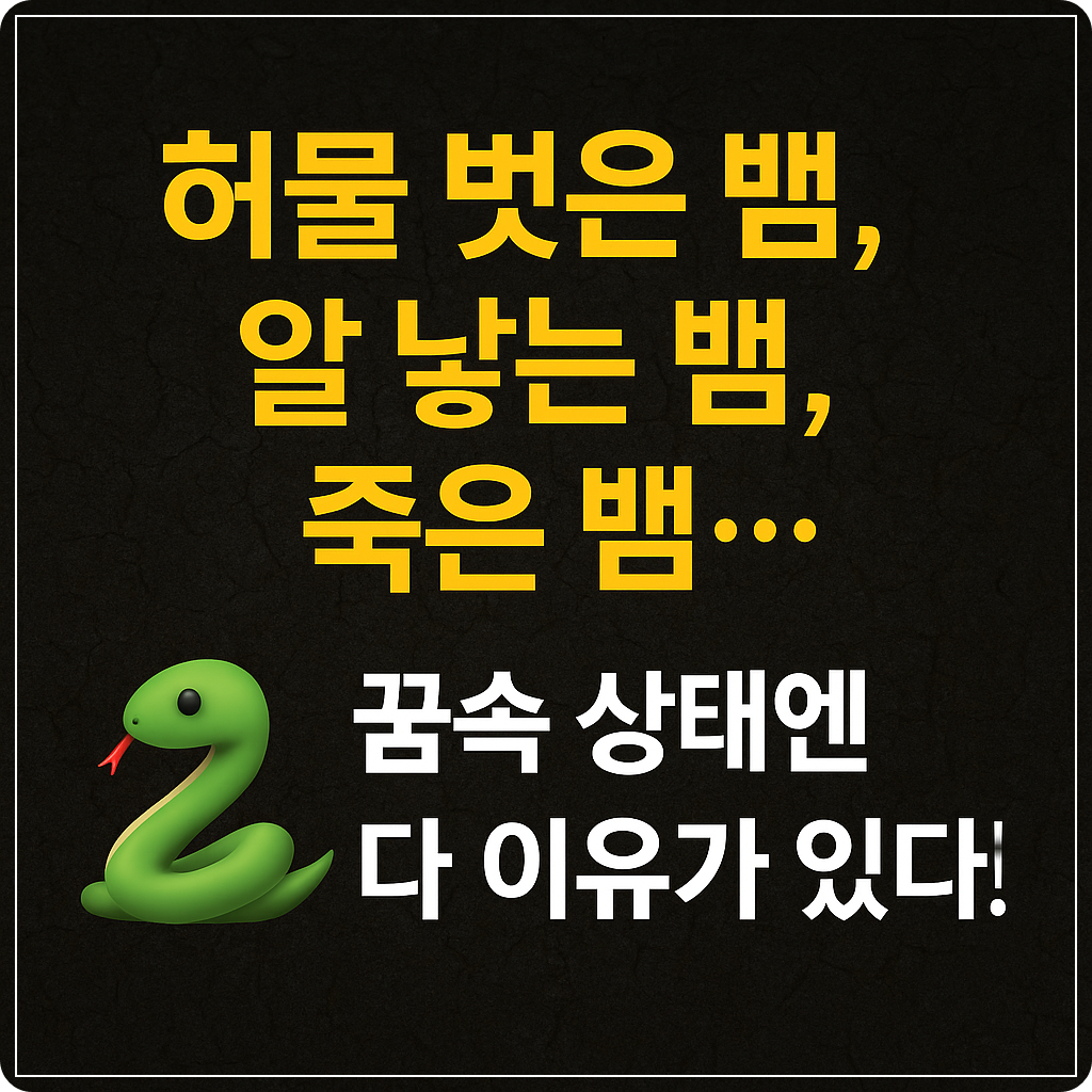 뱀의 상태에 따른 꿈 해몽
