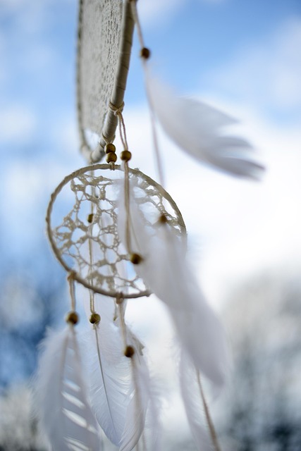 꿈도 없고 하고 싶은 것도 없을 때, 어떻게 해야 할까?