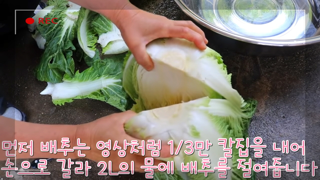 백김치 만드는 사진26