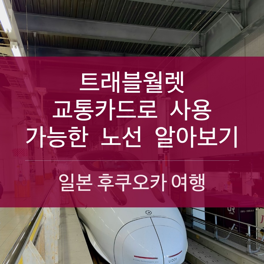 일본 후쿠오카 여행 할 때 트래블월렛 교통카드로 사용법・노선 알아보기