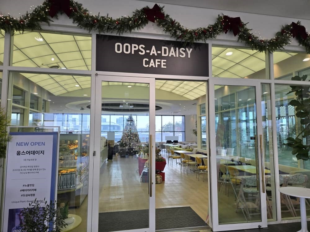 송도 웁스어데이지