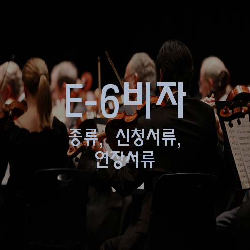 E6 비자