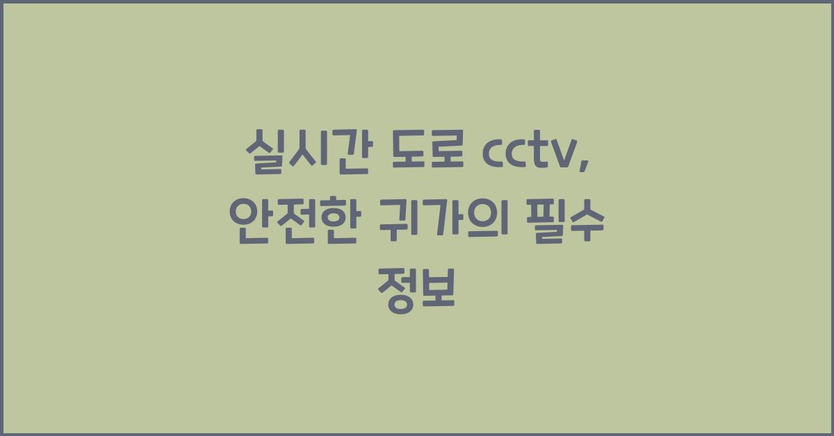 실시간 도로 cctv