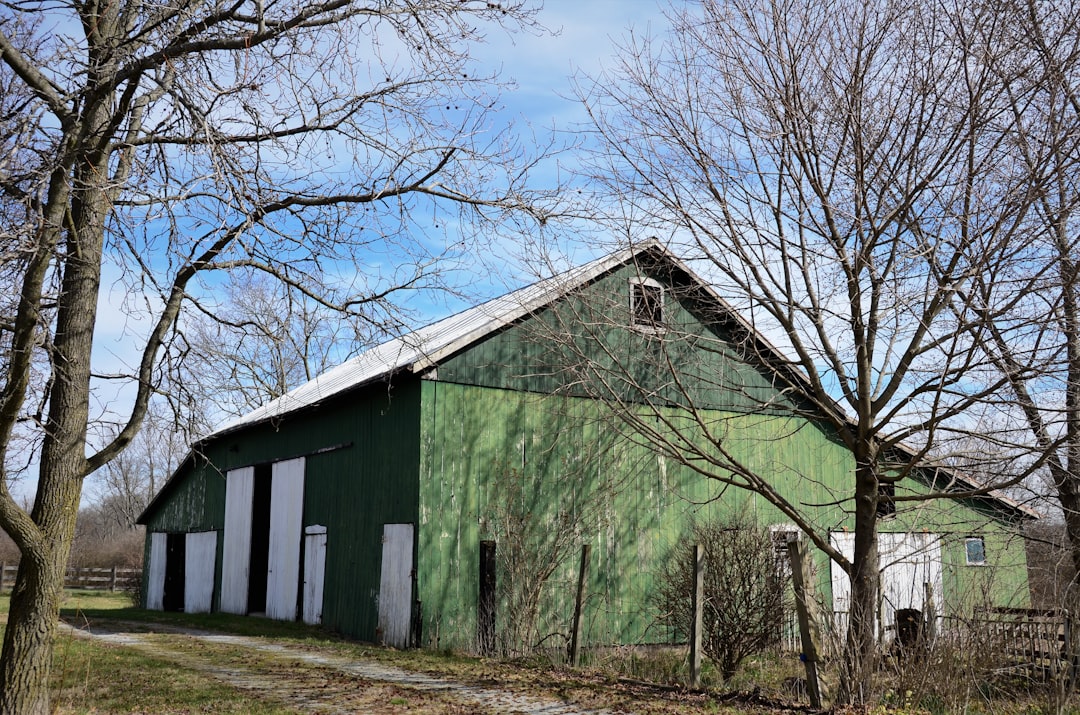 Green remodeling