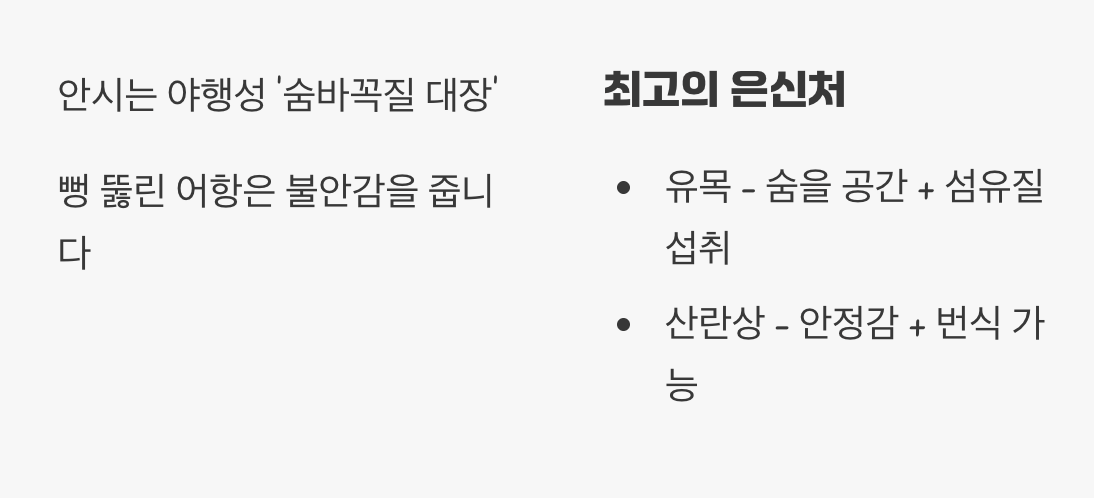 어항 - '숨을 곳'이 많은 아늑한 집