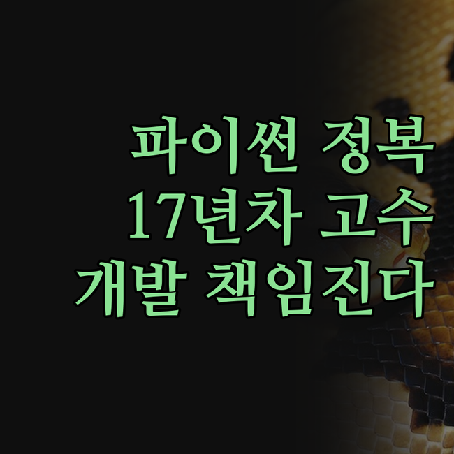 파이썬 코딩, 더 이상 헤매지 마세요