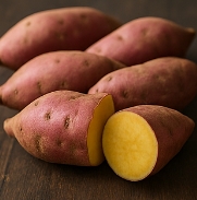 고구마 수확시기