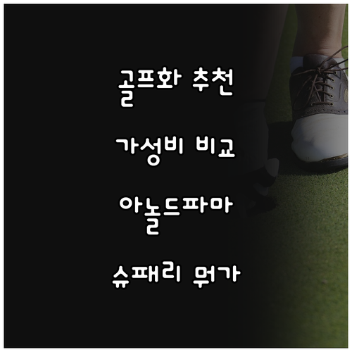 가성비 골프화 추천 및 비교 아놀드파..