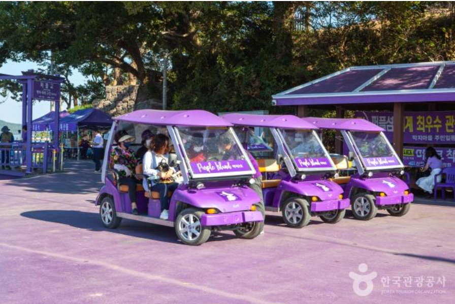 생생정보 보라마을