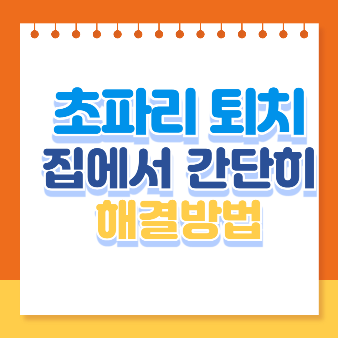 초파리 퇴치 방법
