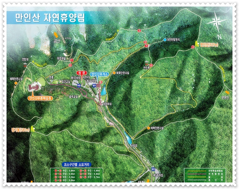 대전 근교 트리하우스