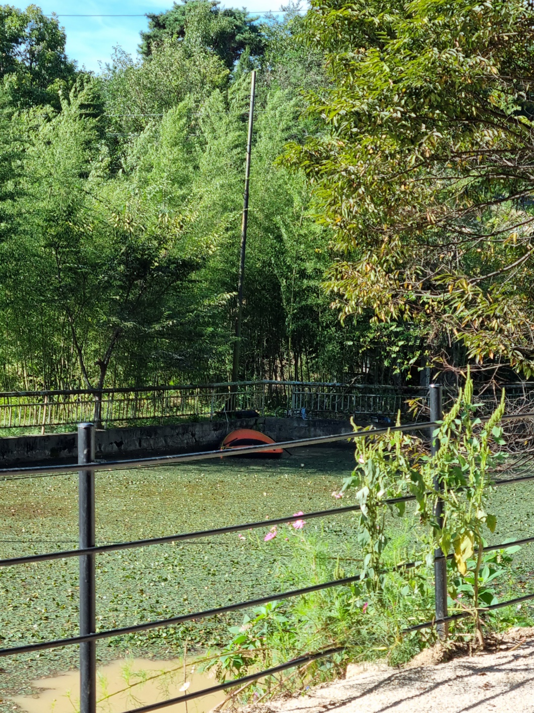 스테이그린 연못